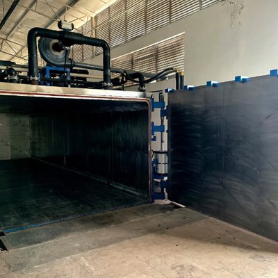 EO Sterilizer Swing Door
